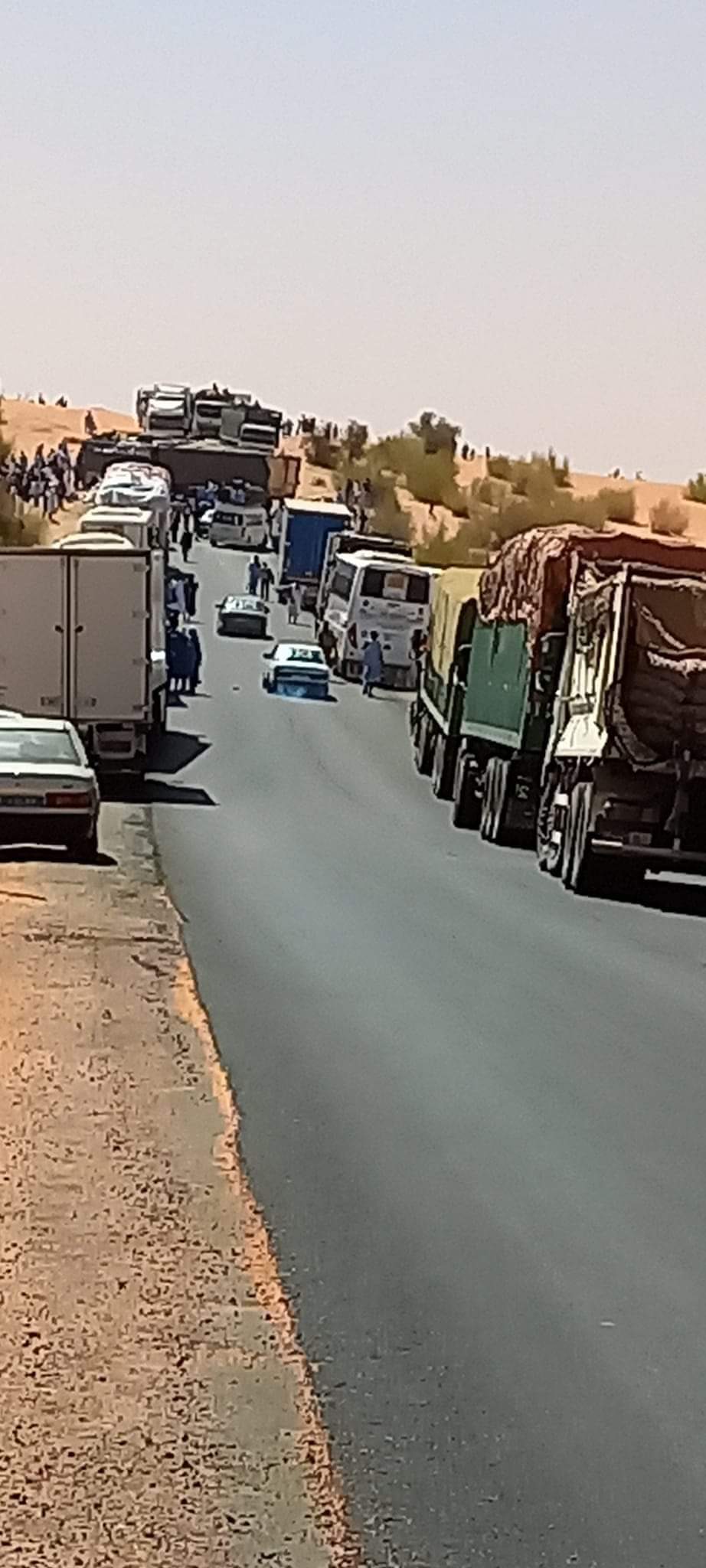 صورة متداولة