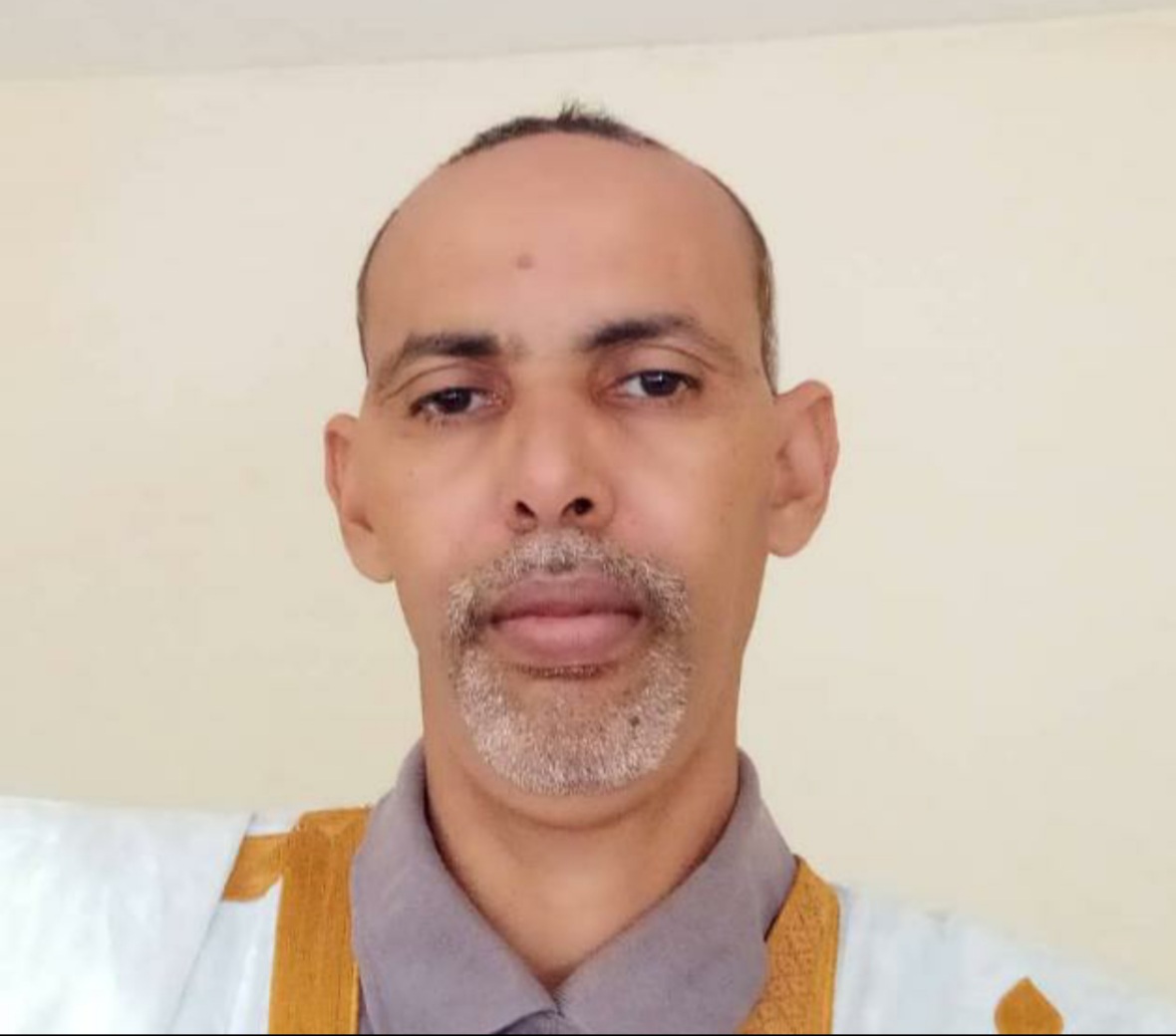 الحسن ولد محمد الشيخ